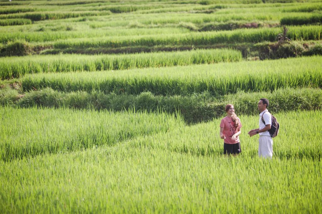 Manyi Village Ubud Экстерьер фото