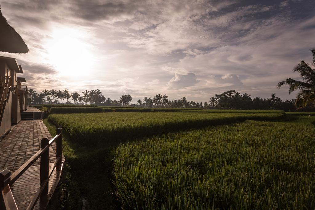 Manyi Village Ubud Экстерьер фото