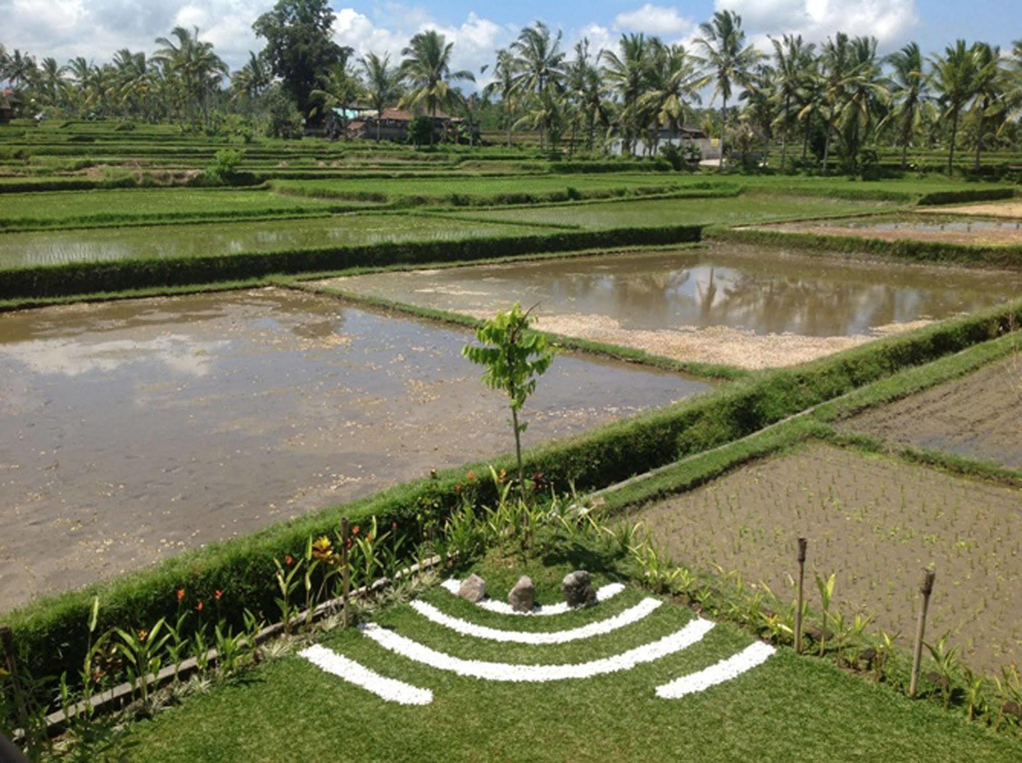 Manyi Village Ubud Экстерьер фото