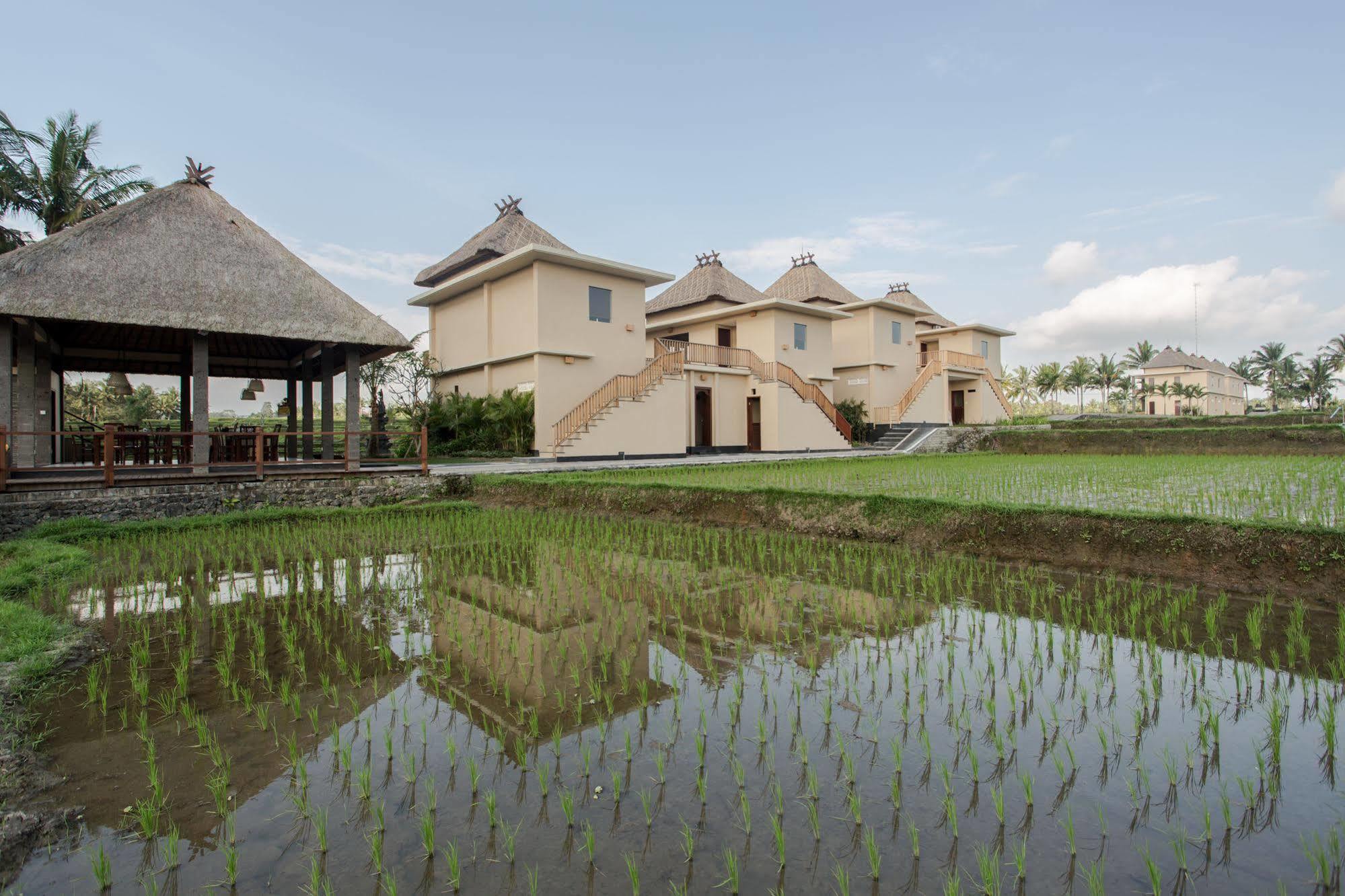 Manyi Village Ubud Экстерьер фото